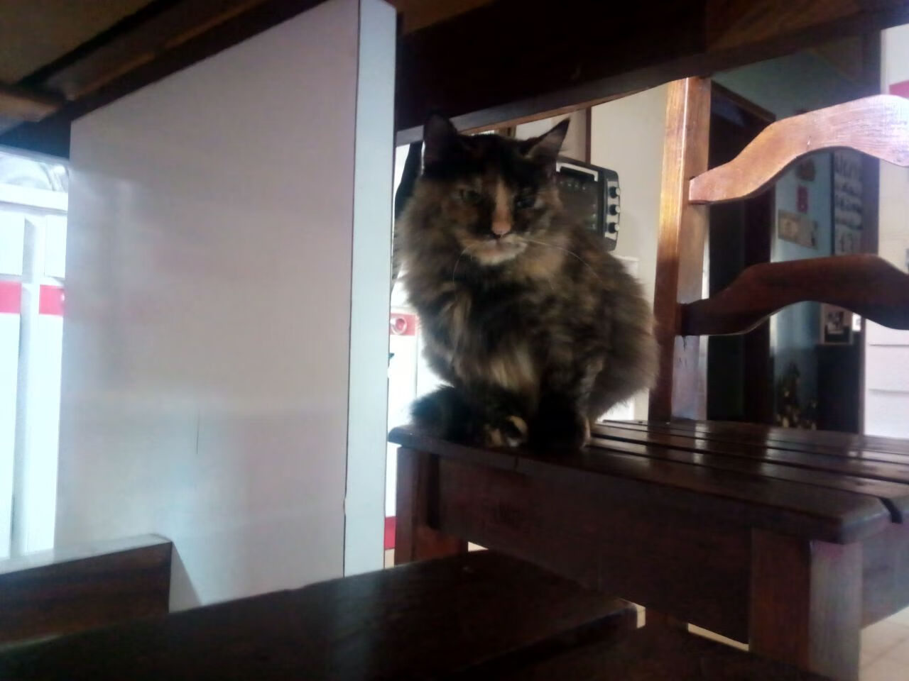 CBA联盟加快推进智能化赛事运营体系，cba联赛竞赛方案