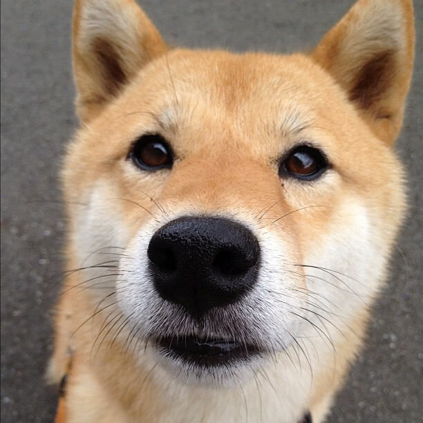 爱游戏体育app网页版下载-亚冠联赛中国青年队逆袭 球员评分成为焦点，亚冠都上青年队