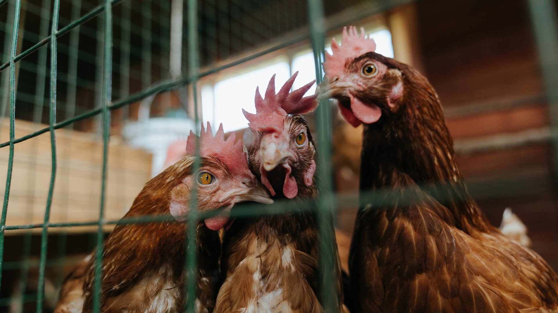 爱体育娱乐入口-阵型灵活切换能力是否决定球队适应多线作战能力，球队灵活性