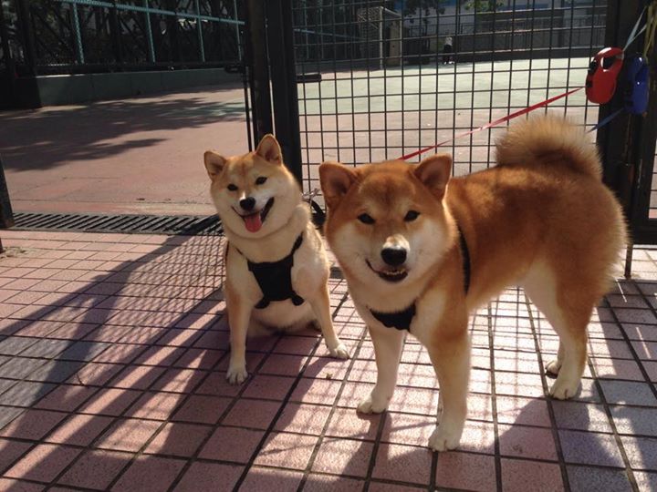 爱游戏大厅官网-“帕布罗·马特拉的防守表现，成就阿根廷美洲狮队的传奇”